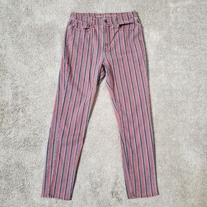 American Eagle Outfitters Multicolor Striped Pants
